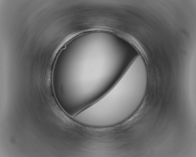 X0000114521292200910190942