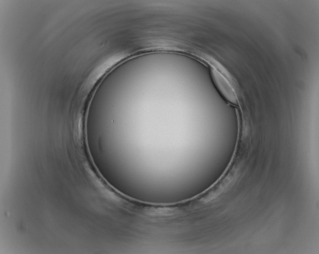 X0000114521293200910190942