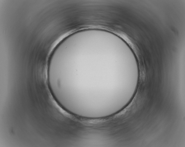 X0000114521294200910190942