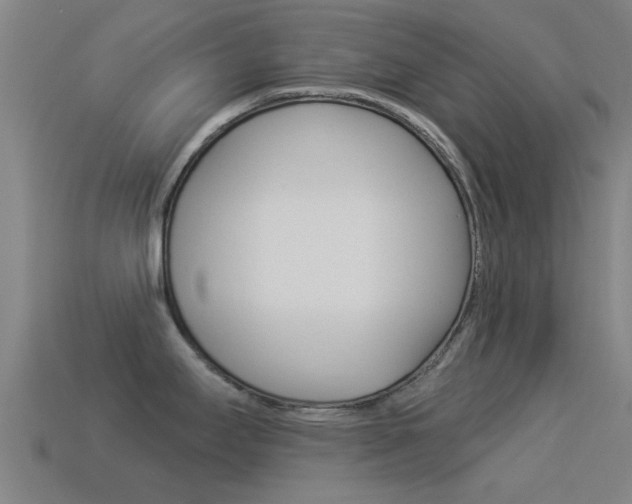 X0000114521295200910190942