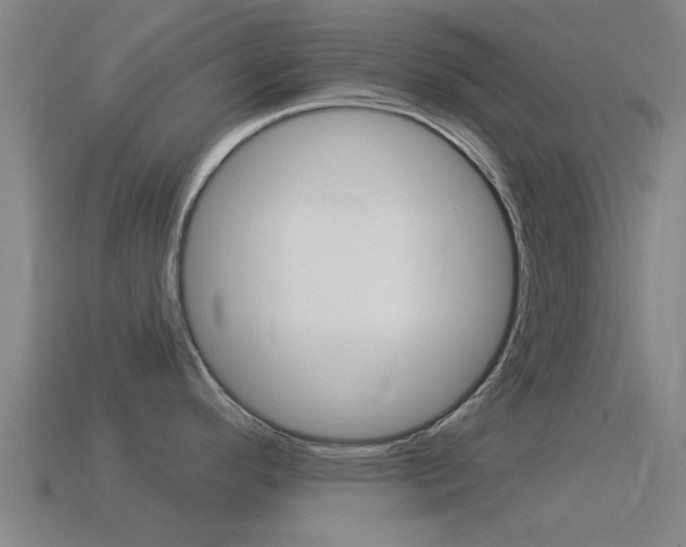 X0000114521296200910190942