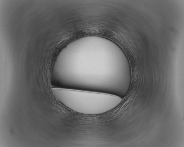 X0000114521297200910190941