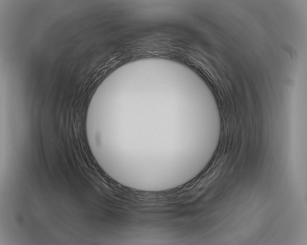 X0000114521298200910190941
