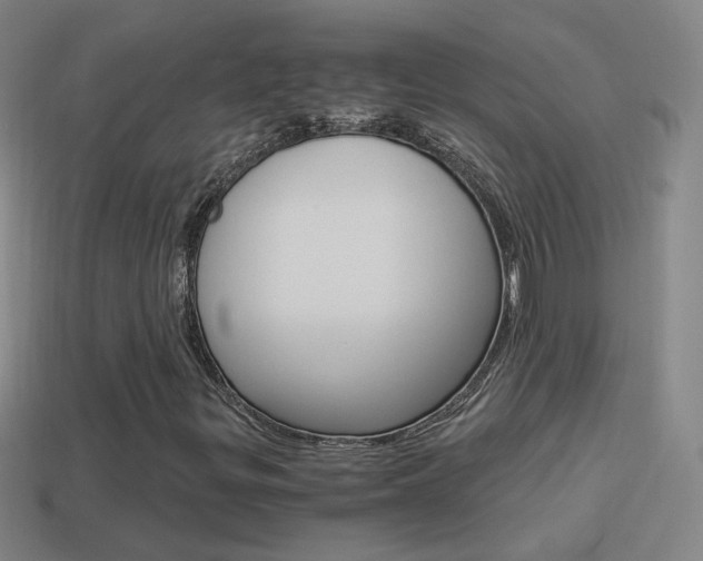 X0000114521299200910190941