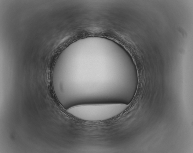 X0000114521301200910190941