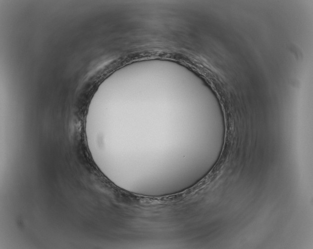 X0000114521302200910190941