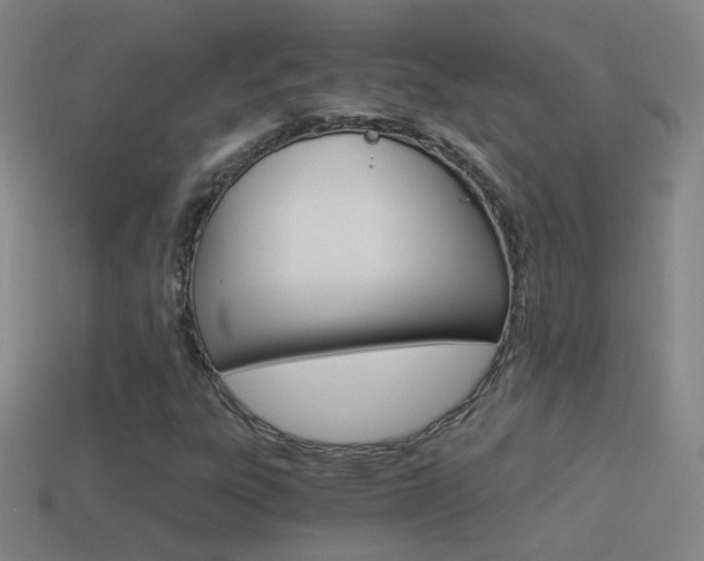 X0000114521303200910190941