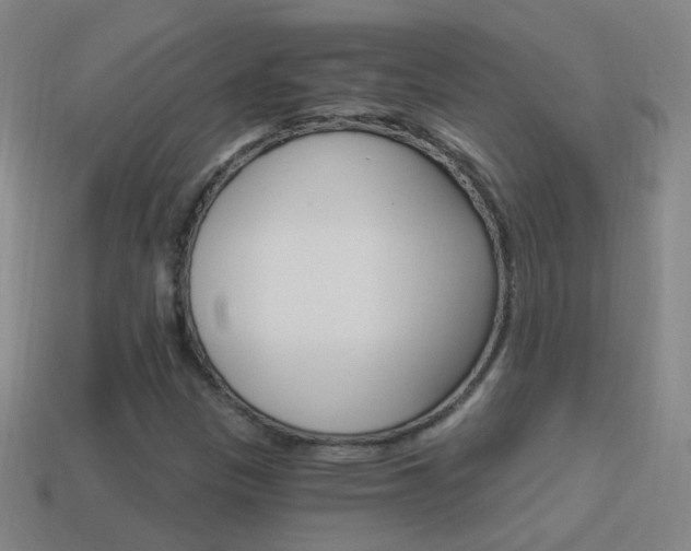 X0000114521305200910190941