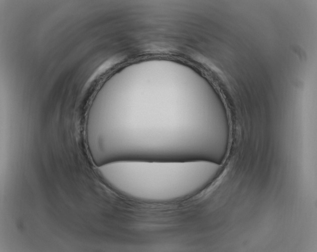 X0000114521306200910190941
