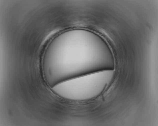 X0000114521307200910190941