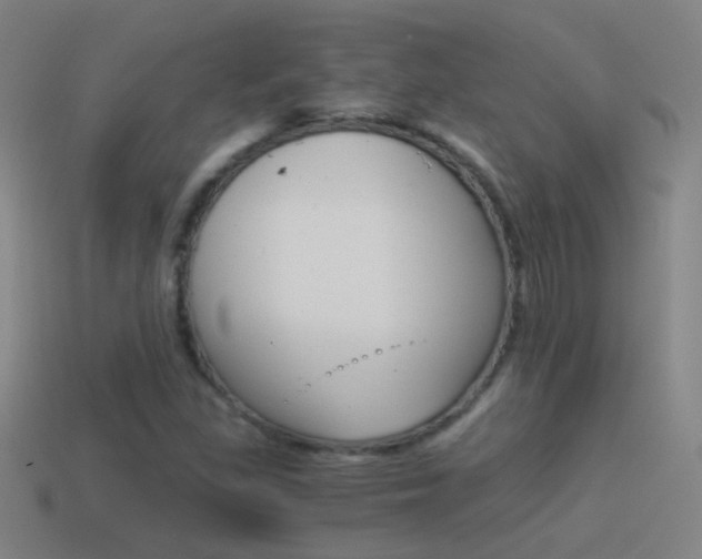 X0000114521309200910190941