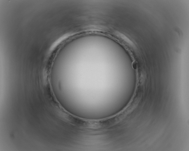 X0000114521310200910190941