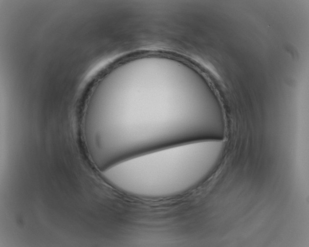 X0000114521311200910190941
