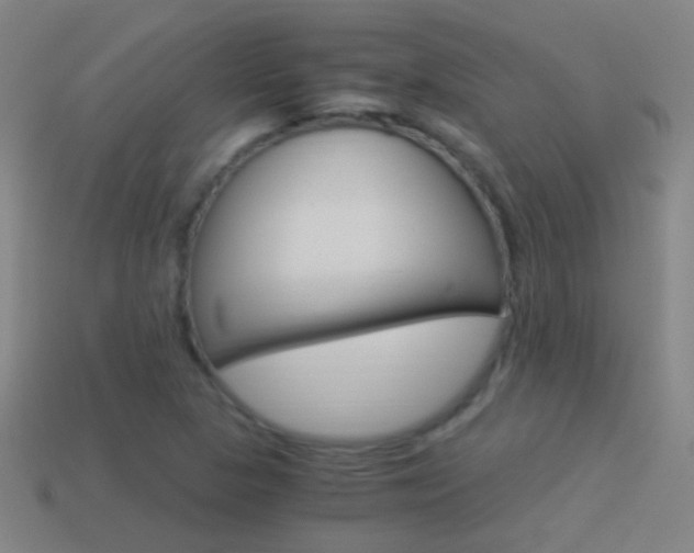 X0000114521313200910190941