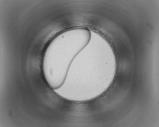 X0000114521314200910190941