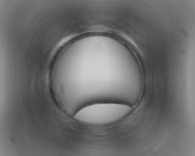 X0000114521315200910190941