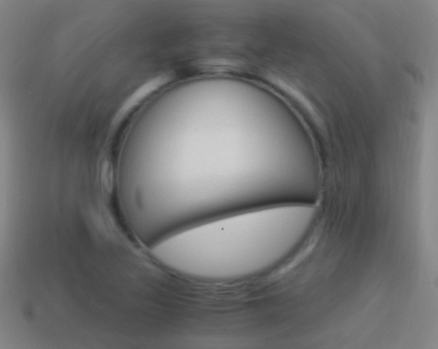 X0000114521317200910190941