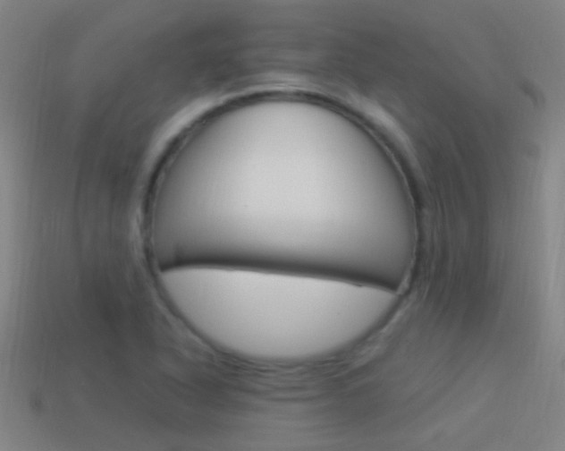 X0000114521318200910190941