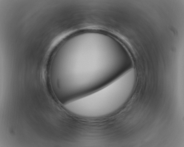 X0000114521319200910190941