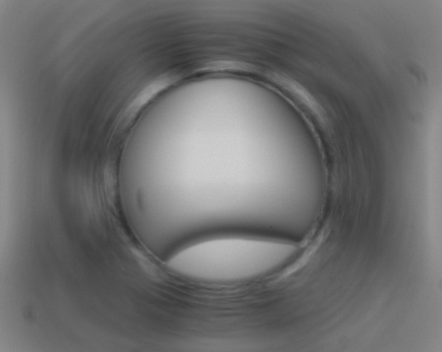 X0000114521321200910190941