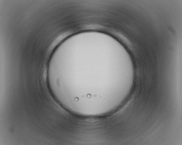X0000114521322200910190941