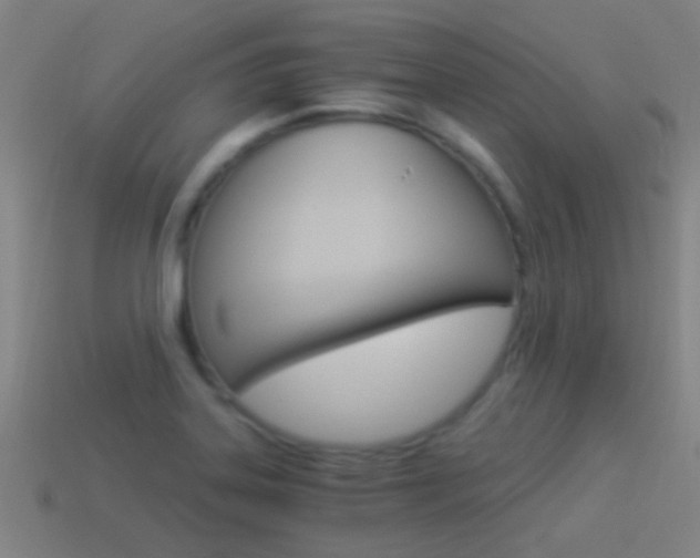 X0000114521323200910190941