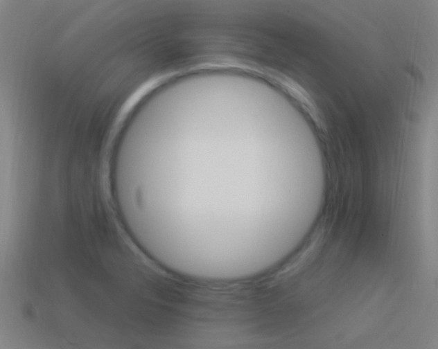 X0000114521326200910190941