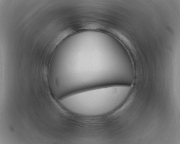 X0000114521329200910190941