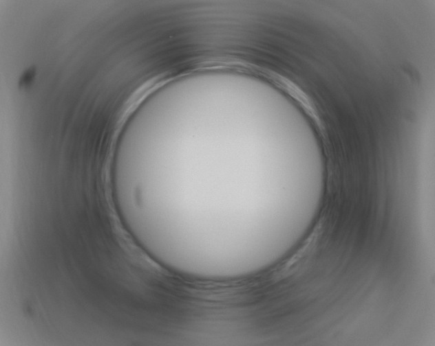 X0000114521330200910190941
