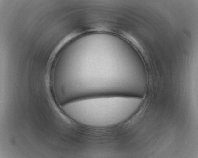 X0000114521331200910190941