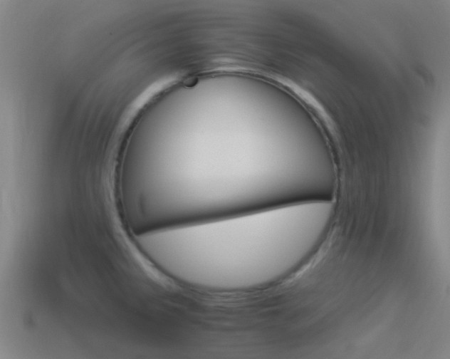 X0000114521333200910190941