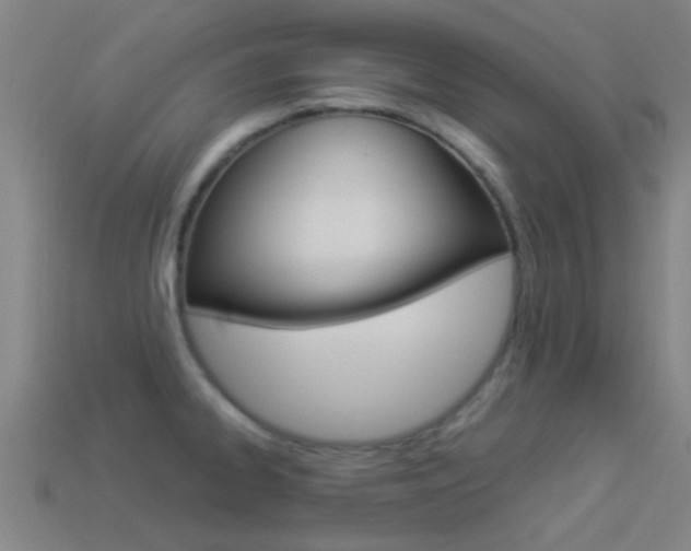 X0000114521334200910190941