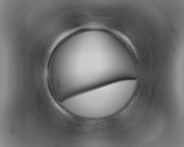 X0000114521335200910190941
