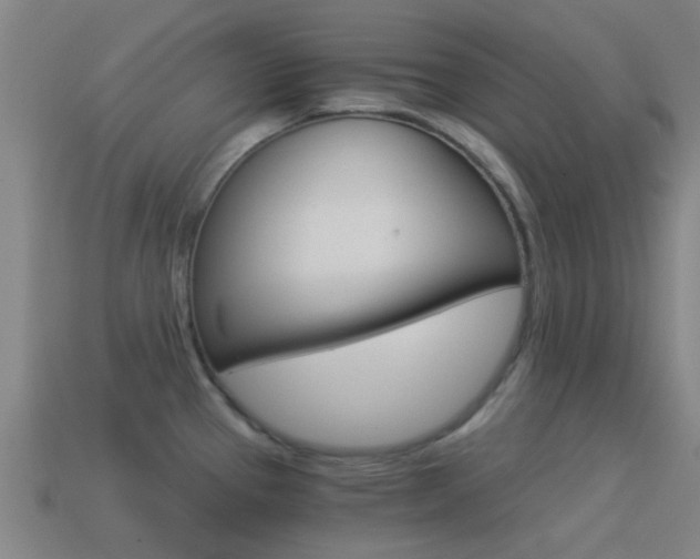 X0000114521337200910190942
