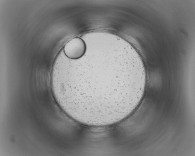 X0000114521338200910190942