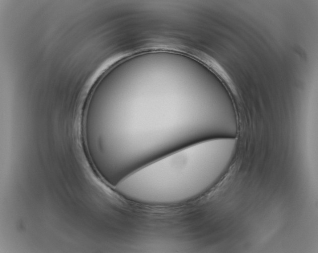 X0000114521339200910190942