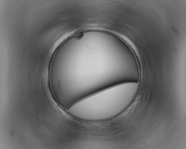 X0000114521341200910190942