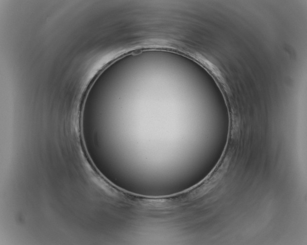 X0000114521342200910190942