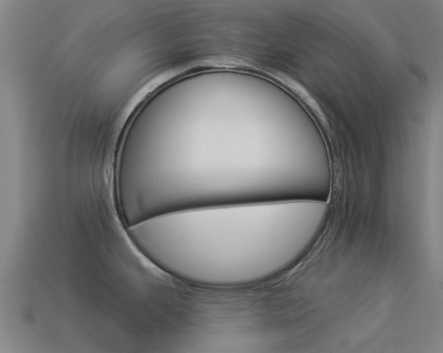 X0000114521343200910190942