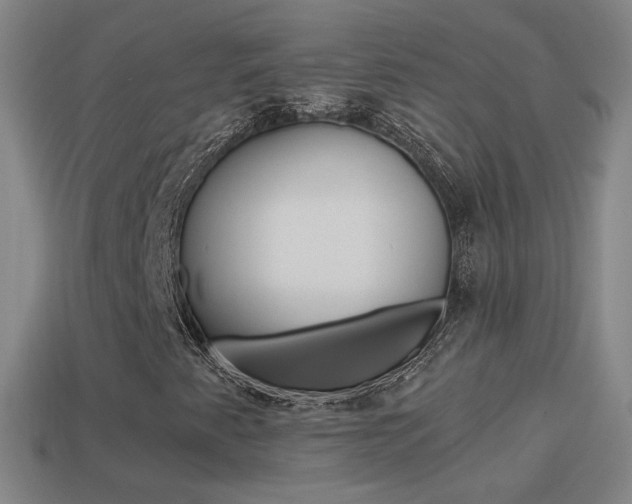 X0000114521345200910190941