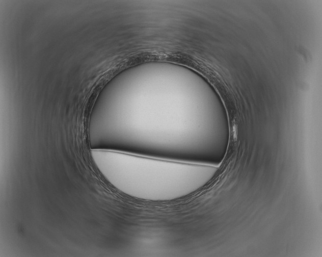 X0000114521347200910190941
