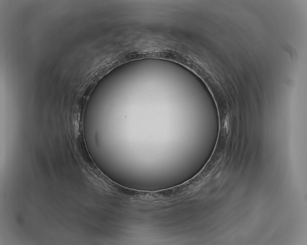 X0000114521348200910190941