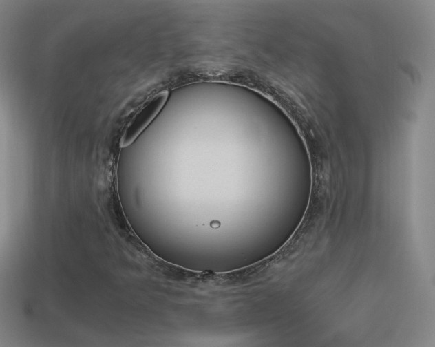 X0000114521349200910190941