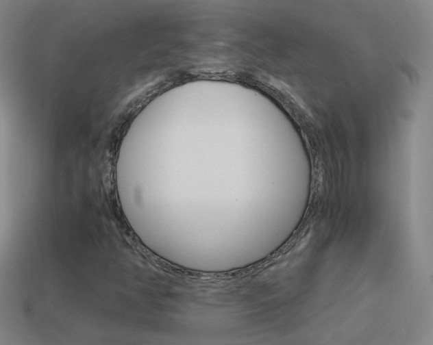 X0000114521350200910190941