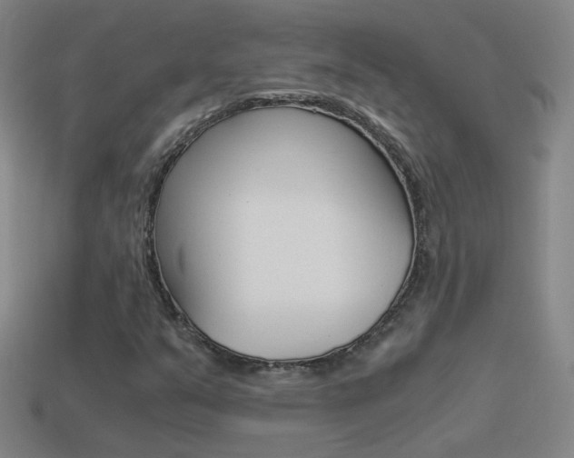 X0000114521351200910190941