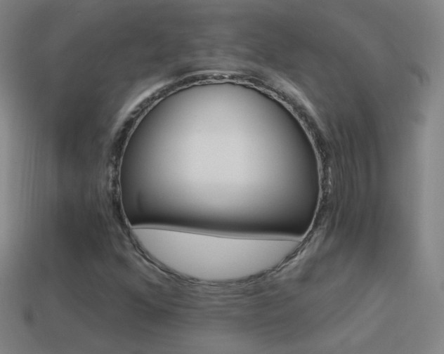 X0000114521352200910190941