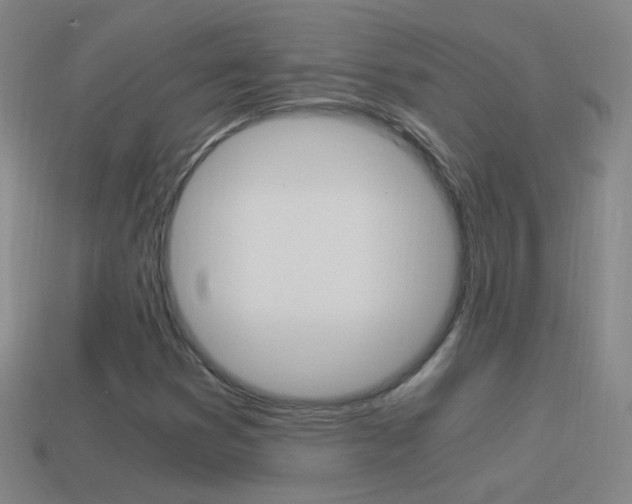 X0000114521353200910190941