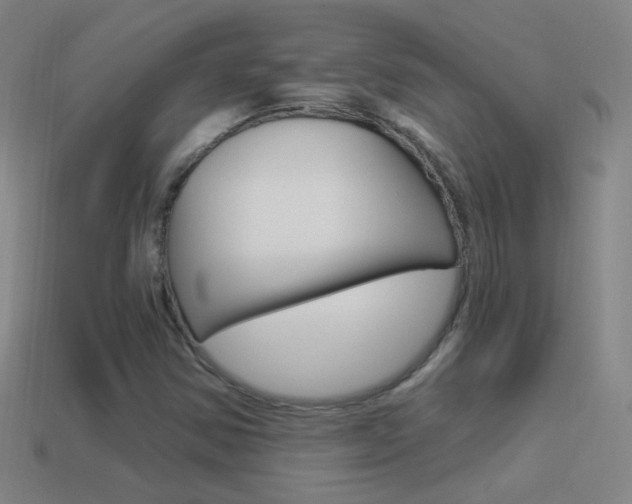 X0000114521354200910190941