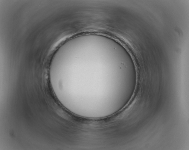 X0000114521355200910190941