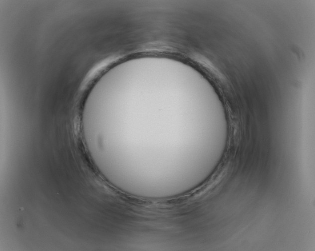 X0000114521358200910190941